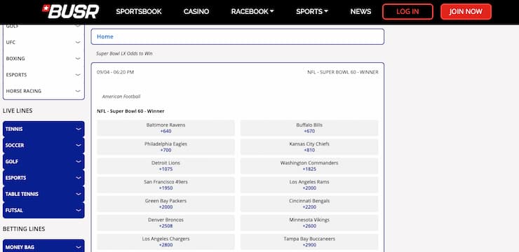 An image of BUSR, one of the best NFL betting sites.
